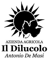 Il Dilucolo Vendita vini di Toscana